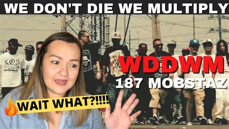 We Dont Die We Multiply (WDDWM) .